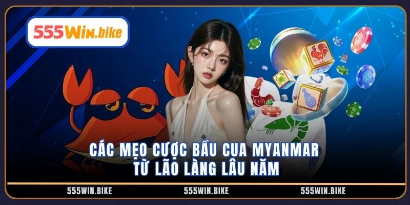 Các mẹo cược bầu cua Myanmar từ lão làng lâu năm