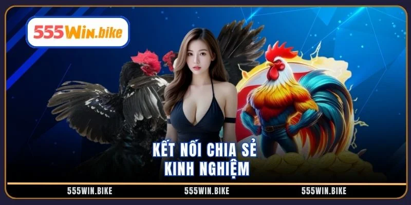 Kết nối chia sẻ kinh nghiệm