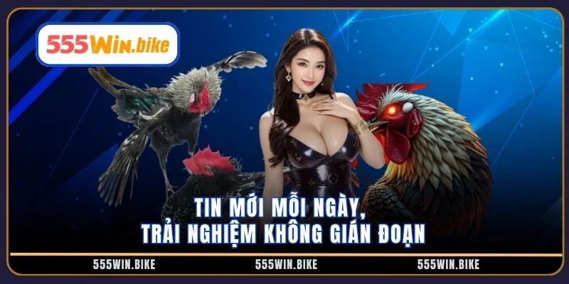 Tin mới mỗi ngày, trải nghiệm không gián đoạn