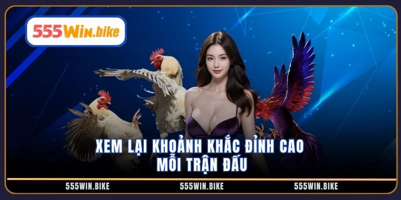 Xem lại khoảnh khắc đỉnh cao mỗi trận đấu